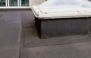 disadvantages of Skullomie flat roofs
