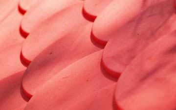 Skullomie plastic roof costs