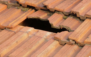 roof repair Skullomie, Highland