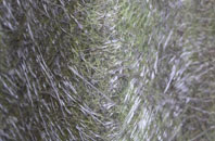 Skullomie fibreglass roof work